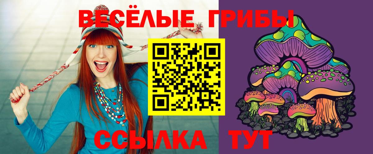 Псилоцибиновые грибы Cubensis Ликино-Дулёво